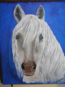 035 weißes Pferd.JPG